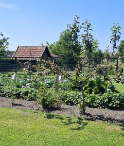 a garden with an apple tree in front of a building at Huus Tea Grootheid in Großheide