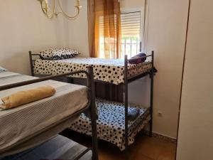 a group of bunk beds in a room at Casa DOÑANA in Matalascañas
