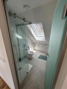 a bathroom with a glass shower and a toilet at Apartma Pr`mejač in Laze v Tuhinju +12 photos