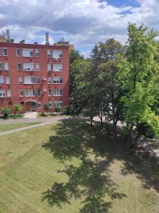 a tree in a field next to a building at Lilibella apartman in Miskolc