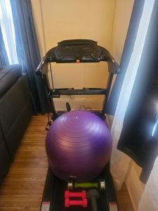 a luggage cart with a purple ball in a room at Plantlife LLC A in Minneapolis