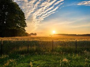 a field with a fence and the sun in the sky at Tiny House Zajączki nad Narwią in Zajączki
