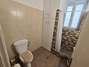 a bathroom with a toilet and a shower at Yiayia's guesthouse in Skopelos Town +29 photos