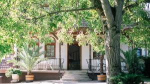 Apartman Diófa في كيزتيلي: منزل أمامه شجرة