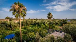 an aerial view of a park with palm trees at Eco Farm Tayssir Marrakech in Marrakesh