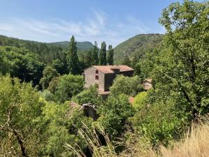 an old house in the middle of a forest at Le Château de Sorgues in Cornus