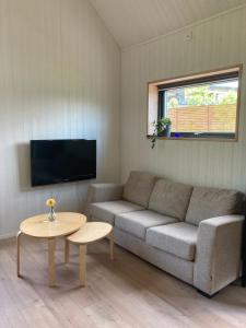 a living room with a couch and a table and a tv at Friluftsstigen Cabin in Falkenberg