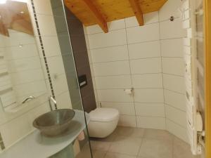 a bathroom with a sink and a toilet at Compagnie des gites de luxe in Gérardmer