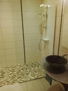 a bathroom with a sink and a shower at Compagnie des gites de luxe in Gérardmer