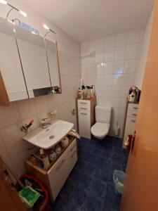 a bathroom with a sink and a toilet at Braui Pub and Restaurant in Waldenburg