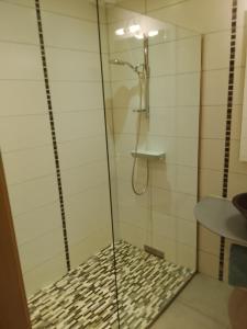 a shower with a glass door in a bathroom at Compagnie des gites de luxe in Gérardmer
