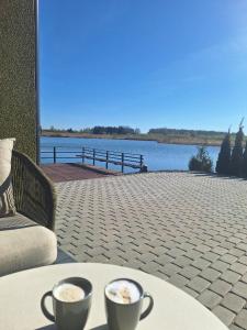two cups of coffee sitting on a table with a view of a lake at Villa reed in Dasiūnai +7 photos