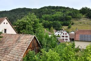 a village with houses and a mountain in the background at Printemps et Eté en Alsace in Stosswihr