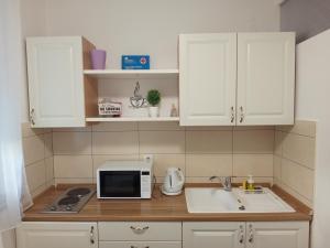 a kitchen with a sink and a microwave at Apartman Vanja in Rijeka