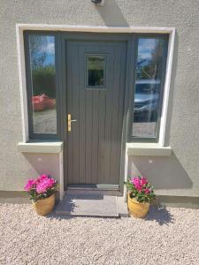a gray door with two flower pots in front of it at Bolishka Whispers, Spacious Bright Studio accom in Galway