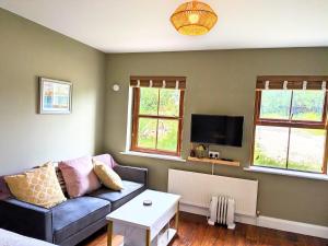 a living room with a couch and a tv at Bolishka Whispers, Spacious Bright Studio accom in Galway