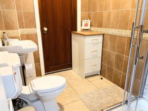 a bathroom with a toilet and a sink and a shower at Bolishka Whispers, Spacious Bright Studio accom in Galway +32 photos