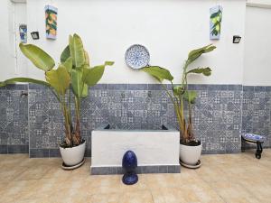a room with three potted plants on a wall at Puertas de la Catedral in Córdoba