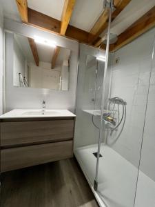 a bathroom with a shower and a sink and a shower at T1 bis 200m du port in La Trinité-sur-Mer