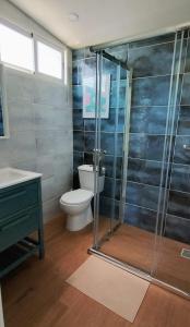 a bathroom with a toilet and a glass shower at La Casona de Carcedo 3 in OVD