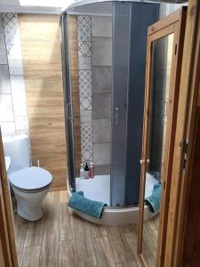 a bathroom with a shower and a toilet at Retro domki nad Wkrą in Kosewko +5 photos