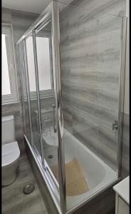 a bathroom with a shower and a toilet at Apartamentos de Linos in Luarca +8 photos