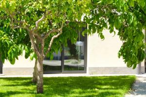 a tree in front of a building with a window at La Rosa dei Templi in Agrigento