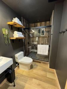 a bathroom with a shower with a toilet and a sink at Tiny Cabin #3 at The Cedars in Kanab +52 photos