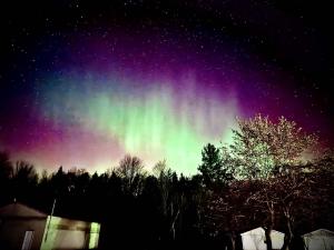 an aurora in the sky over a forest at Cozy Waterfront Cottage in Beaverton