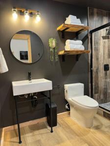 a bathroom with a toilet and a sink and a mirror at Tiny Cabin #7 at The Cedars in Kanab +52 photos