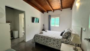 a bedroom with a bed and a window at Finca House by Fataga Maspalomas in San Bartolomé +62 photos
