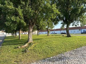 a group of trees in a park with a bench at Casa Da Aldeia in Alcácer do Sal