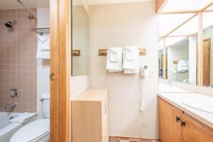 a bathroom with a toilet and a sink and a mirror at Village Square West 353 in Copper Mountain