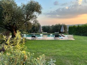 a swimming pool in a yard with a grass field at Villa Al Sicomoro in Grezzana