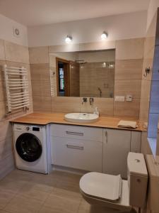 a bathroom with a sink and a washing machine at Gajówka nad Serwami in Mołowiste