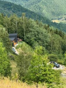 a house on the side of a hill with trees at Nordik Crest in Mărişel
