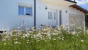a field of white flowers in front of a white house at DreamStay Lezha - Villa in Shëngjin