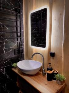 a bathroom with a white bowl sink on a wooden counter at Будиночок між річками Гирло in Iltsi