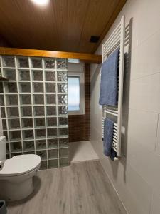 a bathroom with a toilet and a glass wall at El Rincón De Tere in Riaza +14 photos