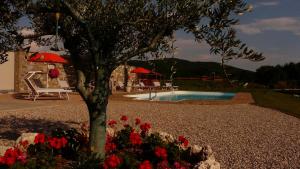 Bazén v ubytování Agriturismo e Alloggi Luis Gianni nebo v jeho okolí