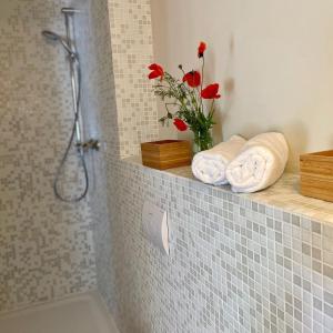 a bathroom with a shower with red flowers on a shelf at Ferienwohnung EINS Hof Himmelgrün in Saal
