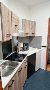 a kitchen with a sink and a counter top at Chrobry Square - Art Apartament in Gorzów Wielkopolski