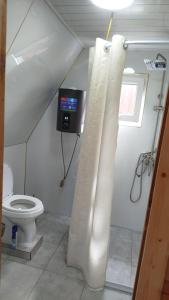 a bathroom with a toilet and a shower curtain at Тайыз Кол in Tossor +13 photos