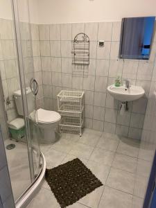 a bathroom with a toilet and a sink at Rozalia in Stary Borek +29 photos