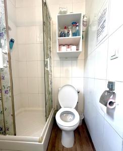 a small bathroom with a toilet and a shower at paris kiffe in Villejuif