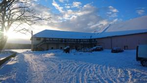 Bison Ranch v zimě