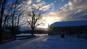 Bison Ranch v zimě