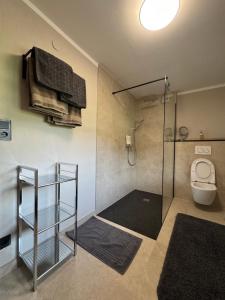 a bathroom with a shower stall and a toilet at Haus Asslaber in Hochfilzen +11 photos