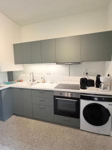 a kitchen with a stove and a sink and a dishwasher at Les chtis voyageurs appartement 2 chambres terrasse in Marcq-en-Baroeul
