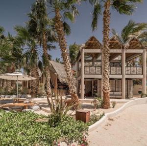 a building on the beach with palm trees at Condo Cortes La Paz in La Paz